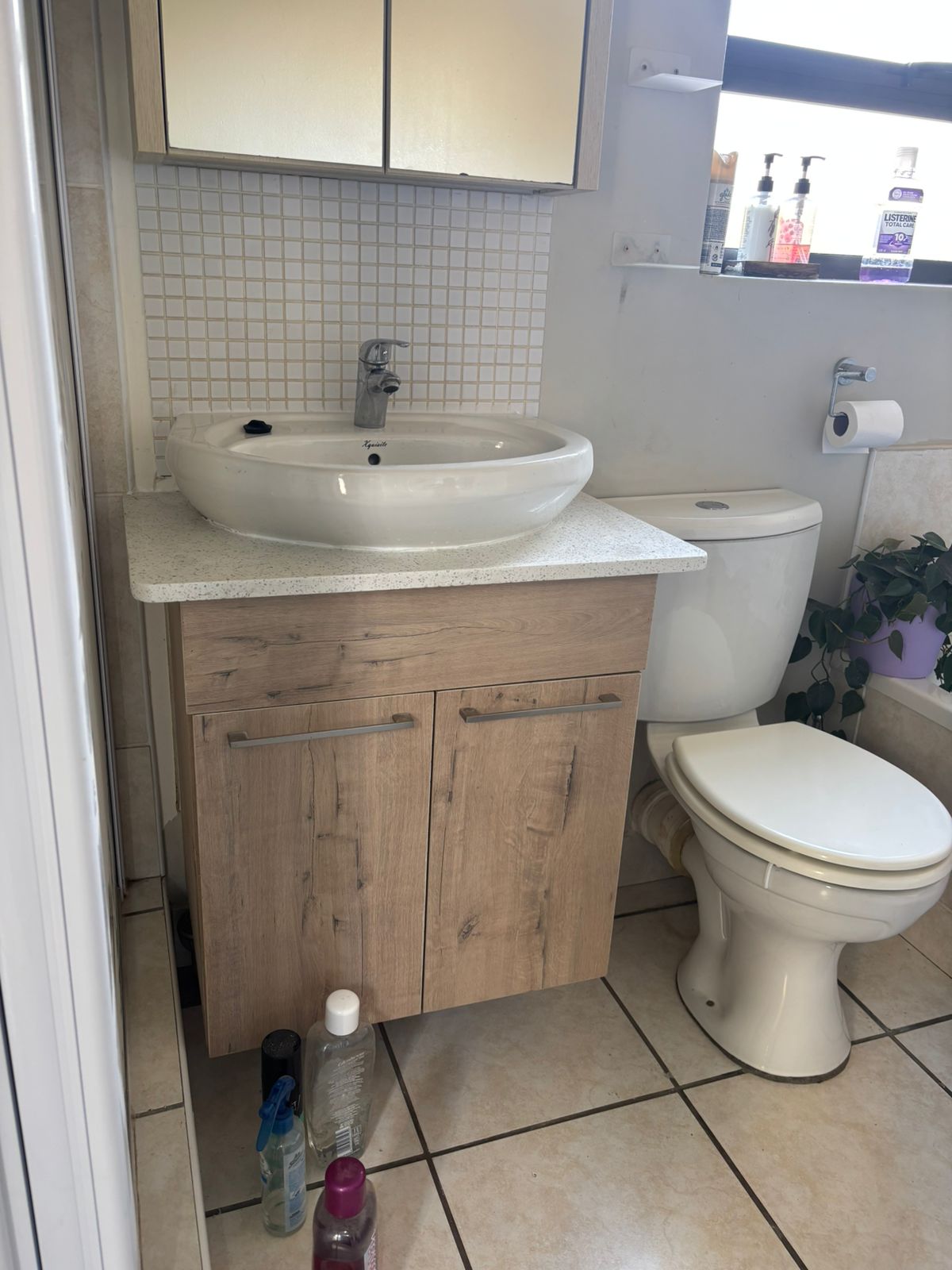 Professional Plumber at Work